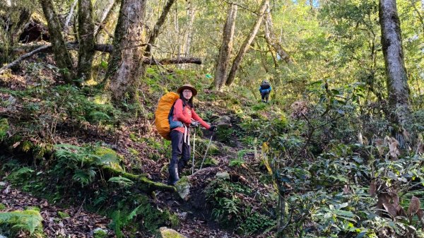 新康五天~戒茂斯進，出瓦拉米2949605