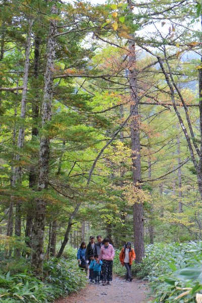 上高地河童橋735584