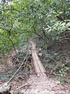 【屏東來義】小百岳棚集山x棚集下山O 繞3013093