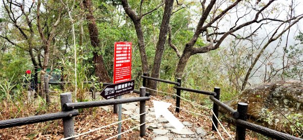 谷關七雄波津加山，太平蝙蝠洞延伸步道，花蓮美崙山步道，台東鯉魚山2004988