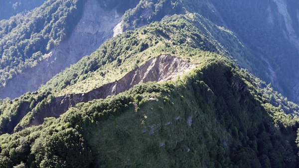 【公告】自5月1日起恢復玉山國家公園「庫哈諾辛山/關山線」自進涇橋登山口進入生態保護區入園活動。