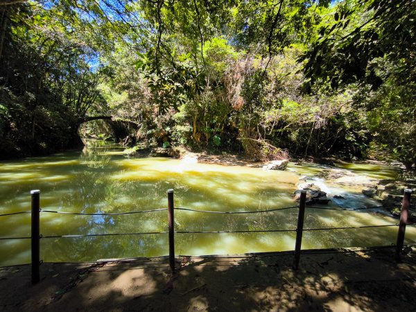 2024-08-22 澀水森林步道2578453