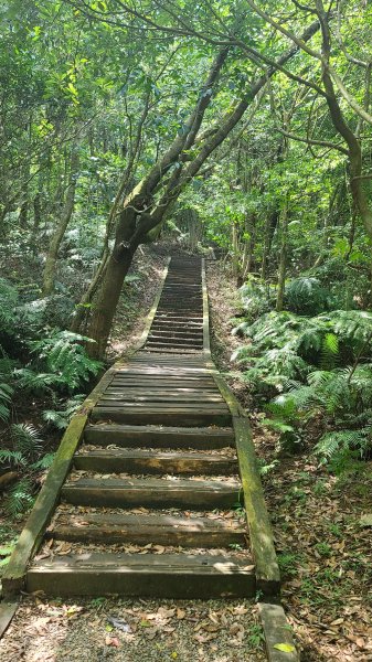 2023-0923翠山步道_金面山_碧湖公園2292065