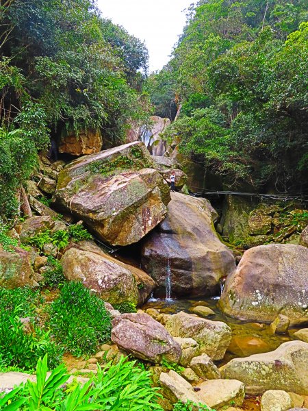 跟著花開去旅行：碧山巖櫻花及大溝溪花海870111