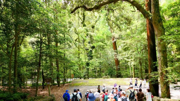 伊勢神宮,鬼之城,速玉神社2807154