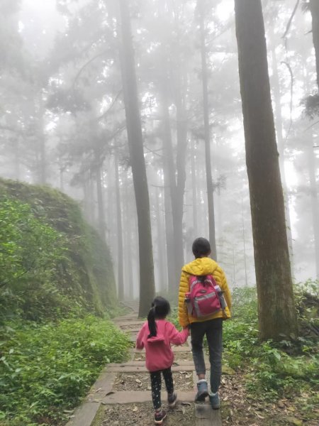 小百岳(60)-奮起湖大凍山-20200412~【2020全家總動員~28分之11】1716566