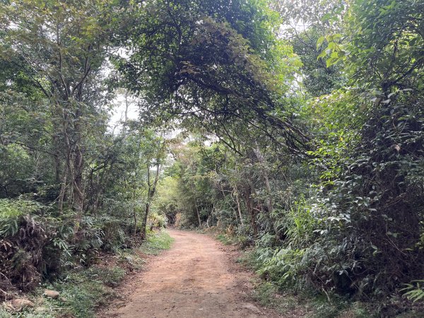 [皮皮獅探險隊-05/10] 2025_0706 石光古道2831859