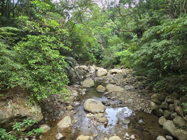 四十二份坪步道3127341