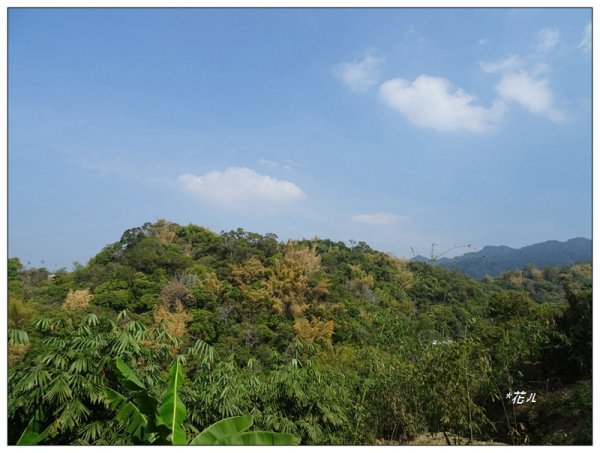 東南坑山(台中-太平)1279616
