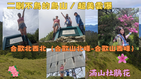 115.05.23南投／仁愛 二刷不鳥的鳥山／滿谷杜鵑花 合歡北西北（合歡山北峰-合歡山西峰）