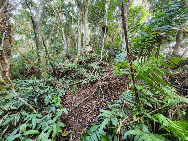 20251214石牛山柑坪山新柑坪山牛背岩2972741