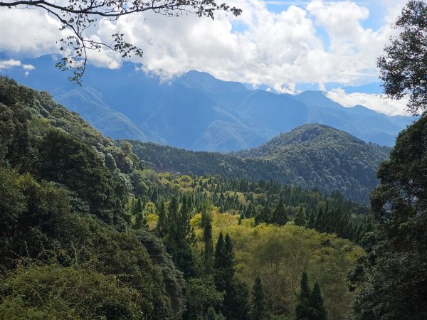 稍來山-小百岳#39-台中市和平區2654104