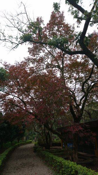 高峰植物園684207