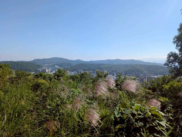 🌈11/8（六）桃園神社+虎頭山風景區尋找10連峰✨FB：熊熊趴爬走🌈2932436