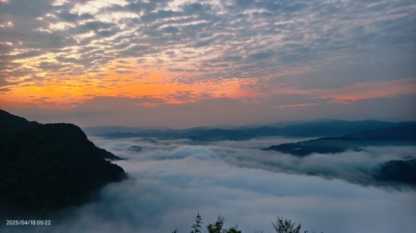 #翡翠水庫壩頂 #日出雲海 #火燒雲 #藍腹鷴 #夜路走多了總會遇到鬼？！#松月櫻 4/182764575