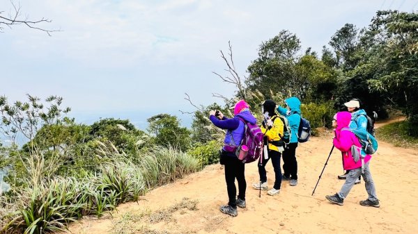 12/22(日)搭火車爬山趣~朝聖九華山-挑鹽古道三通嶺-慈濟茶園-四月小徑--木雕博物館-三義火站2674738