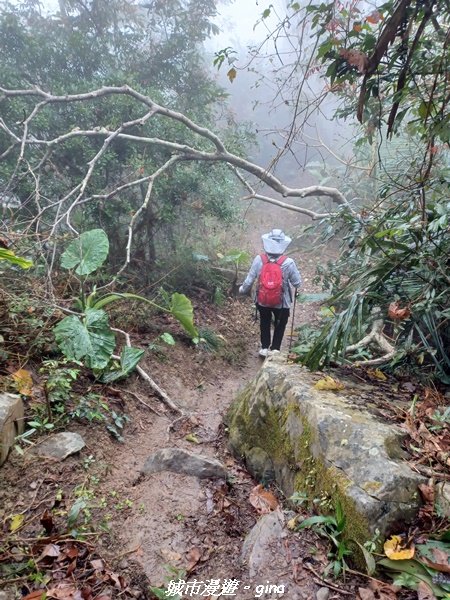 【台南。 南化】迷霧山徑。 小百岳集起來。 編號70小百岳~刣牛湖山登山步道1610475