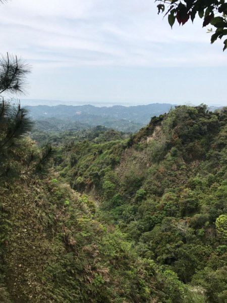 頭嵙山攻頂577437