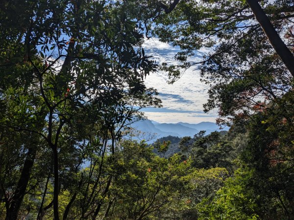 石壁山嘉南雲峰2400229