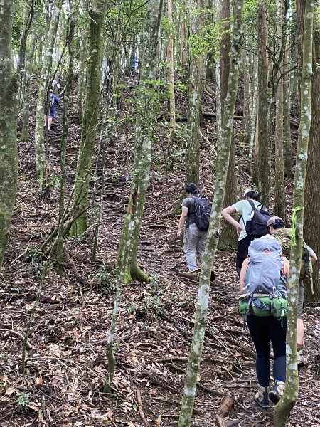 20250713-Ep.09油羅山步道-2025森遊竹縣皮皮獅探險隊2851897