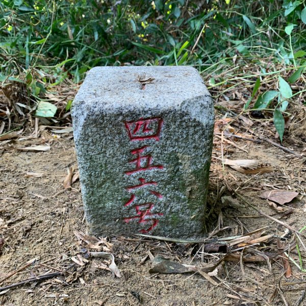 20251115台南大尖山2938076