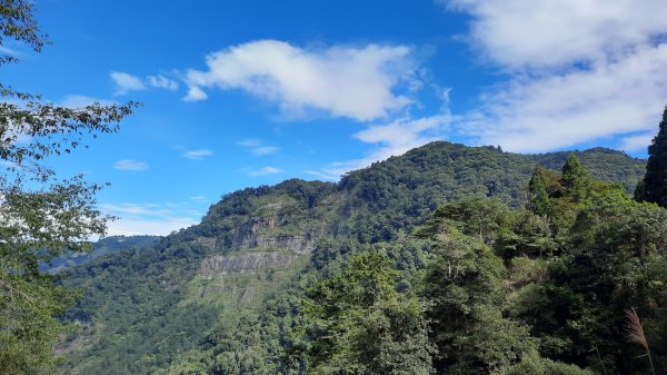 《南投》銀杏湖｜杉林溪青龍瀑布越嶺古道燕庵步道202210151880035