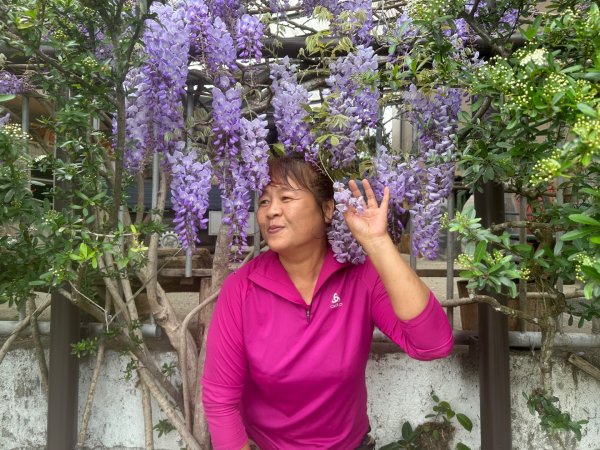 月眉山、海鼠山、生毛樹山、野薑花步道、進學古道3020781