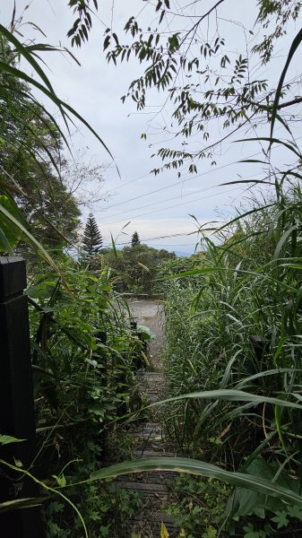 【山形暗影綽綽，我們步履不停，只為那枚海拔千尺下的獨特三角點。】小百岳#044暗影山2943629