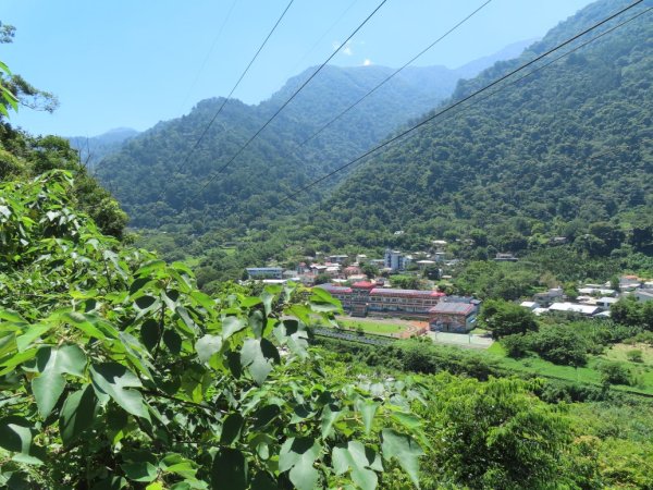 德芙蘭生態步道O形2829435