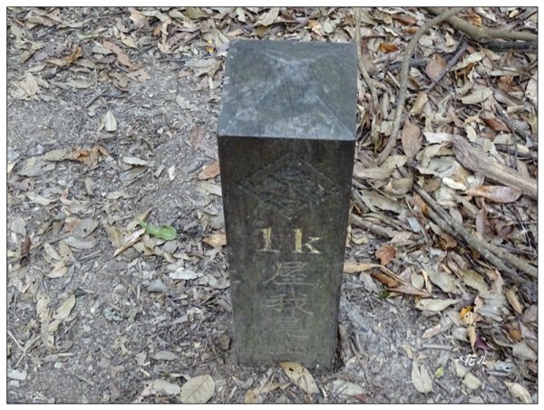 屋我尾山 北登山口 (大雪山林道31.3K)2985527