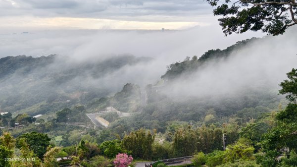 #雲瀑 #雲海 #琉璃光 #天空之城（林口）#觀音山 #林梢步道 3/13008578