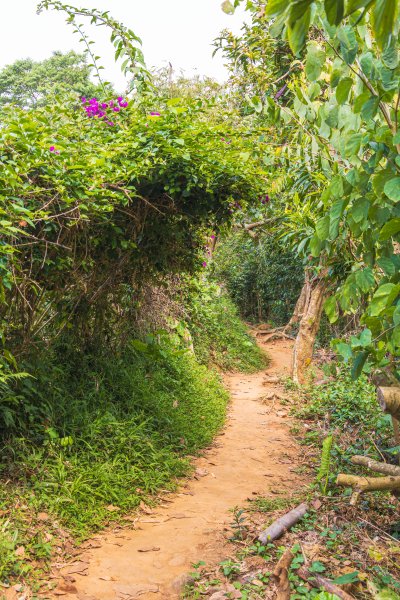 [嘉義]蘭潭水庫、紅毛埤山2757634