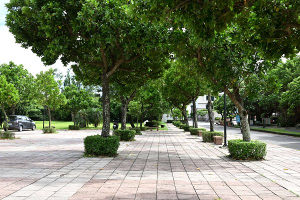 2025_0614 福隆海水浴場沙雕2812870