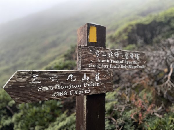 一日小O聖 2024 11/222865477