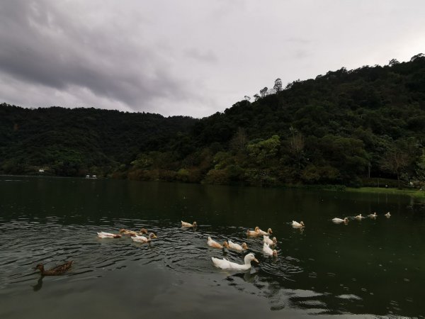 家鄉的必訪步道：冬山河親水公園、梅花湖、宜蘭中央公園 - 2022/2/11668255