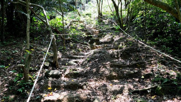 中山峽谷步道,海興步道,情人湖登山步道2581362