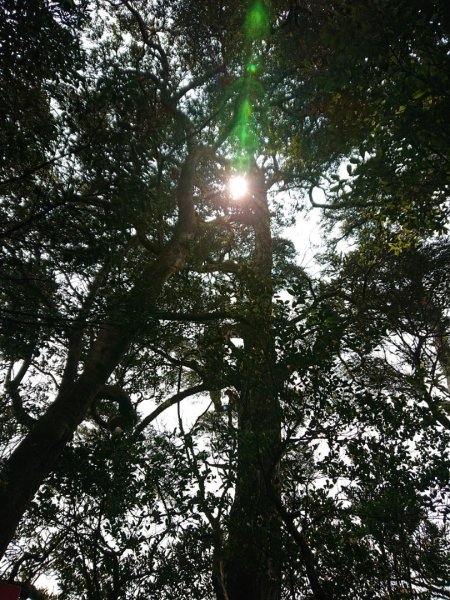 那結山（嘎色鬧部落線）893445