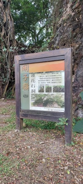 20241219 關子嶺枕頭山2675378