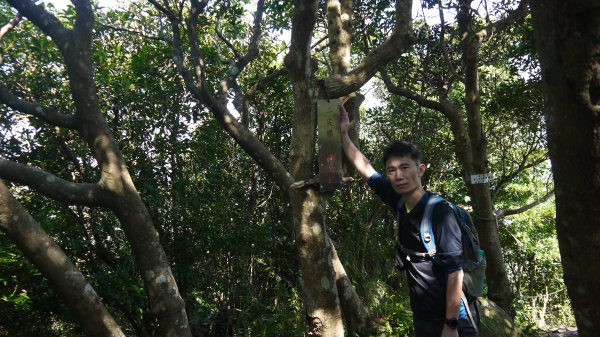 觀音山登山健行趣(小百岳05號)1632429