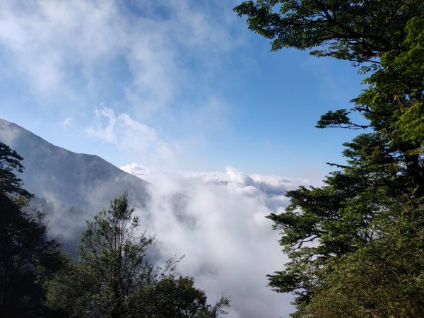 觀霧雲海山林之美2923631