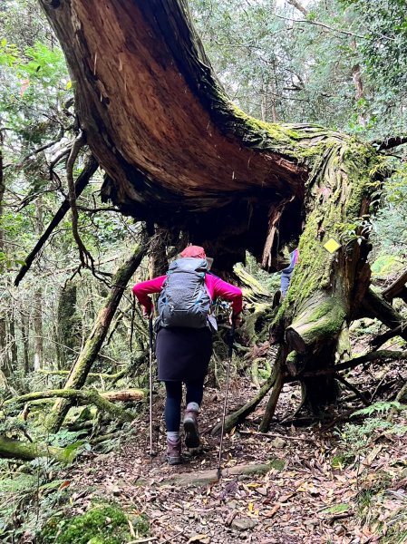 福巴越嶺國家步道2364571