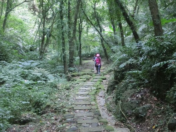 藤坪步道．六寮古道268594