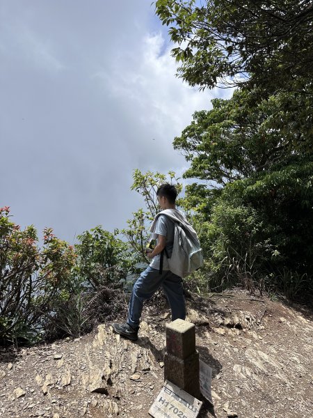 日湯真山P型快走2207329