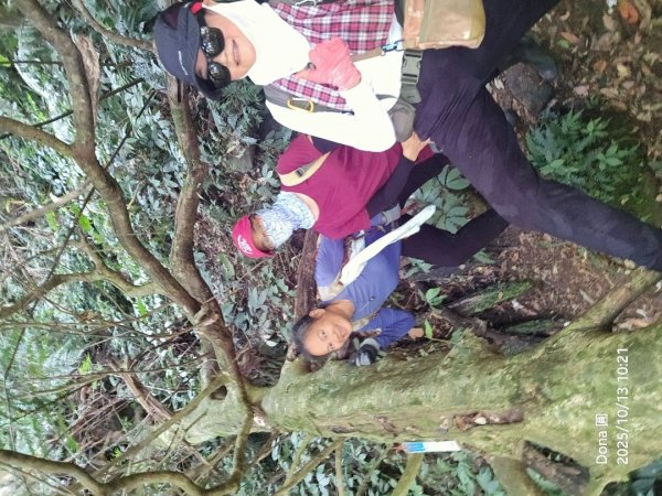 復興三尖老么之那結山1520m(嘎色鬧上)全紀錄2915486