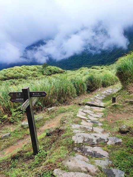 金包里大路(擎天崗至上磺溪停車場段  - 走遍陽明山尋寶任務2268823