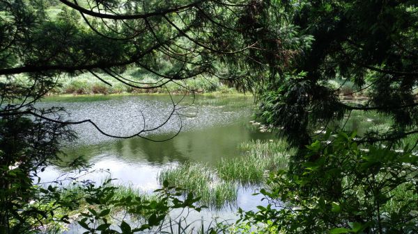 醉在.......如夢似幻138166