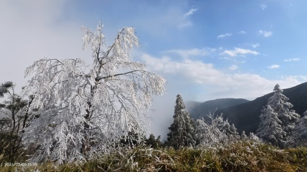 #霧淞 #雲海 #雲瀑 #霧虹 #太平山 #望洋山 #觀雲步道 #翠峰道路  2/82995274