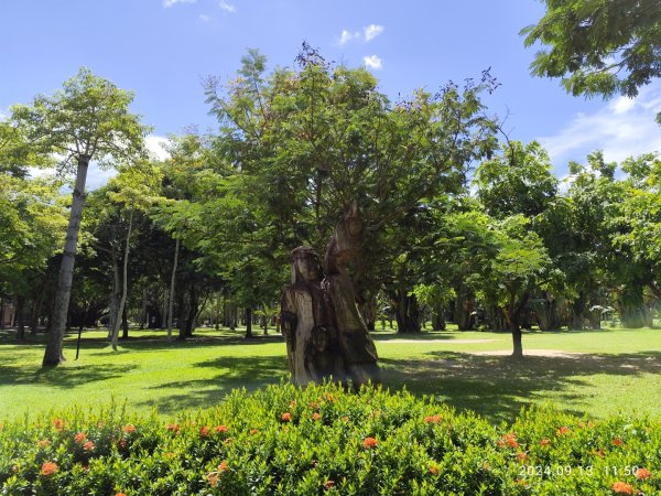 大安森林公園、劍潭公園、大港墘公園【走路趣尋寶】【臺北健走趣】2594690