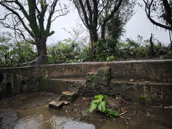 2026_0131 獅球嶺西砲台2997810