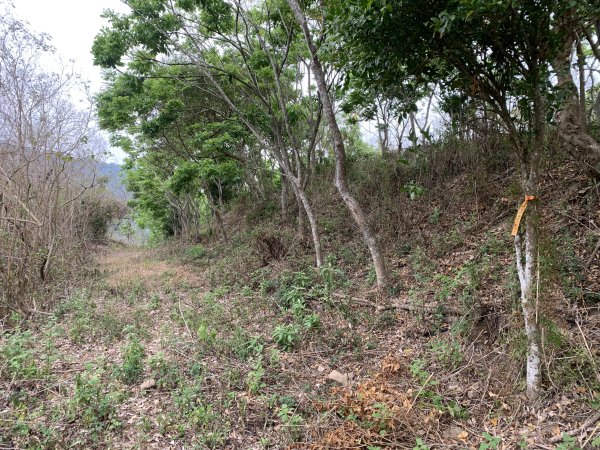 20250405屏東內南世山-西霧里乙山2757797